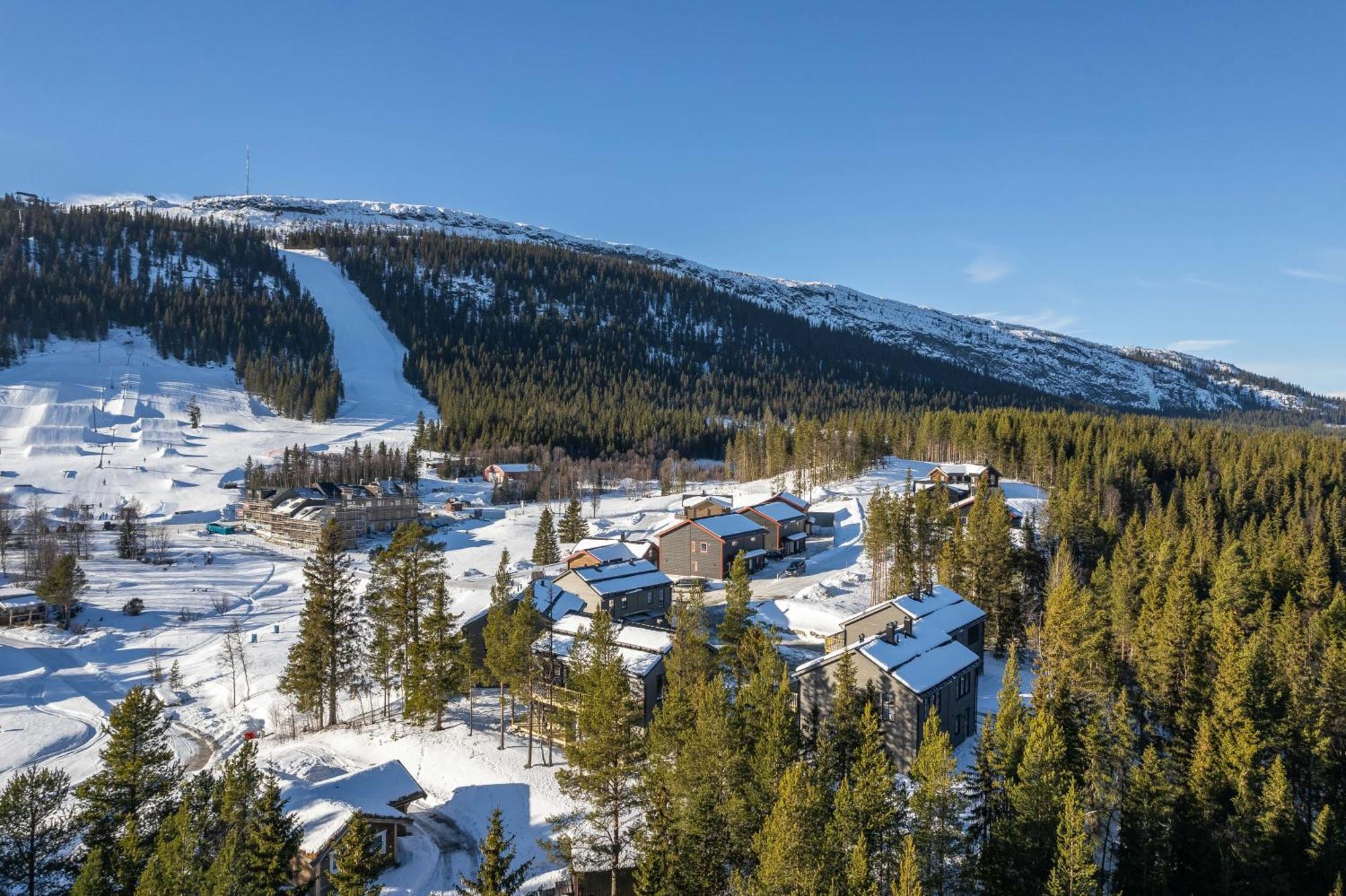 Parkstigens Fjaellby - Kavan Фунесдален Екстер'єр фото